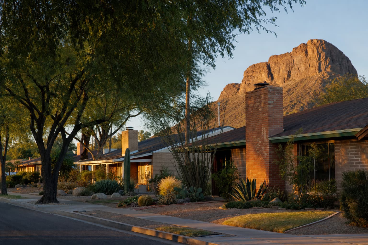 Residential architecture and desert landscape characteristic of Tempe, Arizona